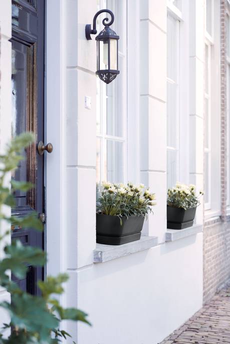 greenville pflanzgefäß lang 50cm living schwarz